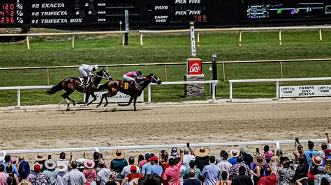 tampa bay downs bookies|Tampa Bay Downs Form Guide .